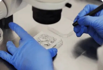 Customised Treatment Protocols