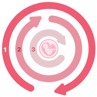 3 Cycle Progressive FYNE Tuning Methodology