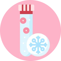 Egg Freezing Process