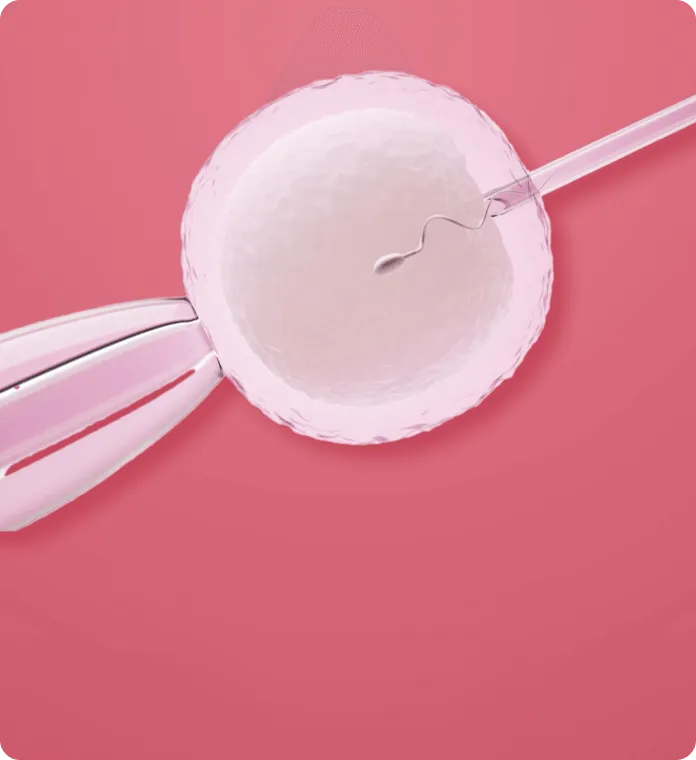 Stage 1 of IVF: Downregulation