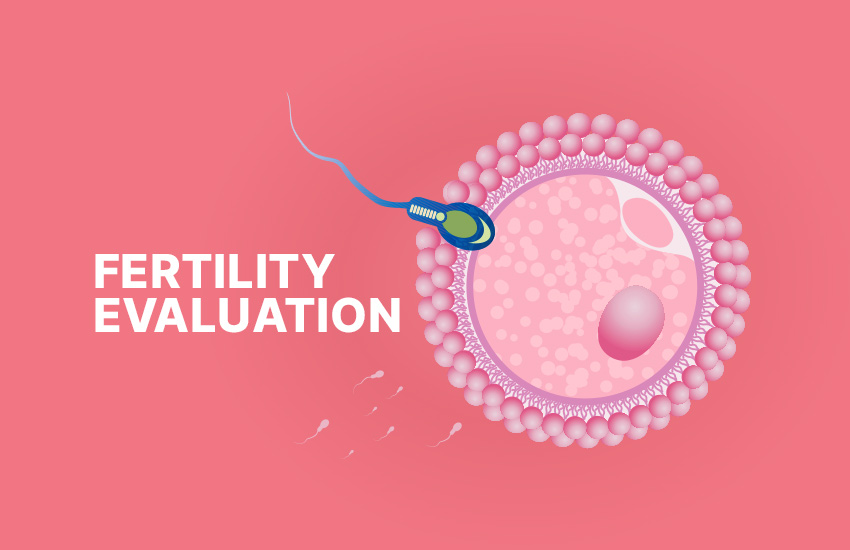 Fertility Evaluation Guide
