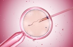 Understanding the IVF Journey Step by Step