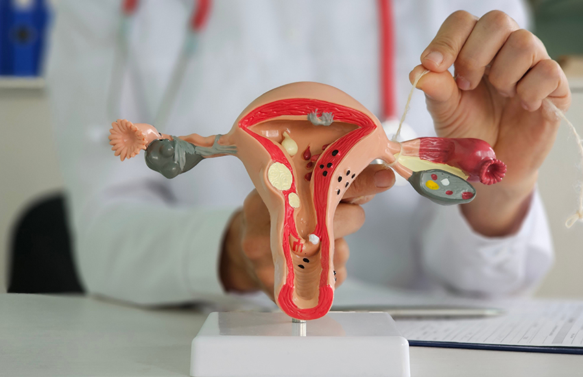 Tubal Blockages and IVF