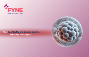 How Egg Quality and Embryo Grading Influence IVF Success?