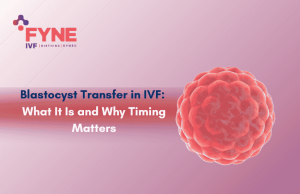 Blastocyst Transfer in IVF: What It Is and Why Timing Matters