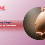 Pregnancy Stages: Trimester by Trimester