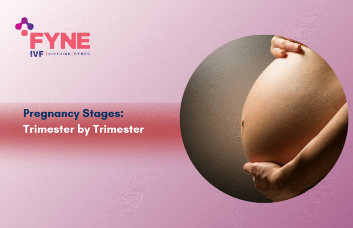 Pregnancy Stages: Trimester by Trimester