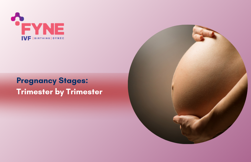 Pregnancy Stages: Trimester by Trimester