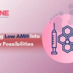 Turning Low AMH Into New Possibilities