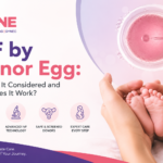 IVF by donor egg: when it is considered and how donor egg IVF works, featuring the FYNE IVF logo and a fertility treatment illustration.